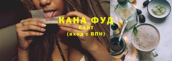 индика Зеленодольск