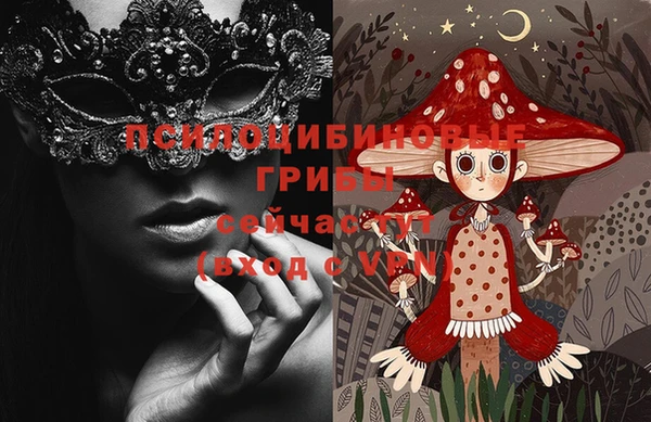 тгк Абинск