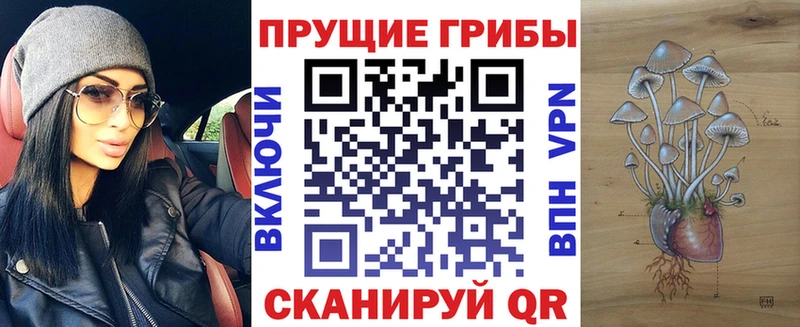 купить наркоту  Данилов  Галлюциногенные грибы ЛСД 